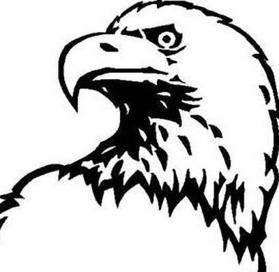 Stiker art Eagle face Bike Tank Pad