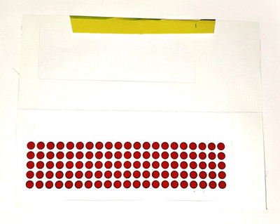 PEARL EYEFLAX Red Round Black Outline Plain Bindi (Per Hanger 12 Pieces) All type Red Bindis(Sticker)