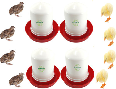 Greenrock Chick & Quail Food Feeder & Drinker Combo 500 grams capacity (Pack Of 4) Common Bird Feeder(White, Red)