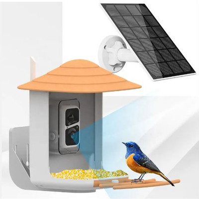 Paxidaya Solar Powered with 2MP Camera Weatherproof | Smart | Outdoor Decor | Pack of 1 Window Bird Feeder(Orange)