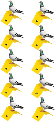 seok Pigeon Stand (Pack of 10) Premium Quality Caged Bird Feeder(Yellow)