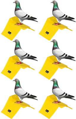 seok Pigeon Stand (Pack of 6) Caged Bird Feeder(Yellow)