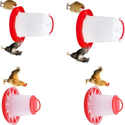 TM&W poultry equipment drinker and feeder combo of 4 pcs 1.5 kg 1.5 ltr , Common Bird Feeder(Red)