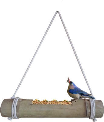 RARE OCEANS Window Bird Feeder Bird Feeder(Green)