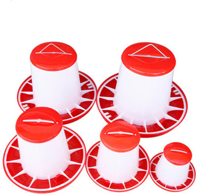 TM&W poultry chicken duck ,quail birds 1.5 Kg 3 Kg 6 Kg 9 Kg Feeder 4 PCS Common Bird Feeder(Red)