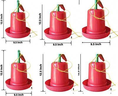 Sohit agro farm 3 kg feeder pack of 6 Common Bird Feeder(Red)