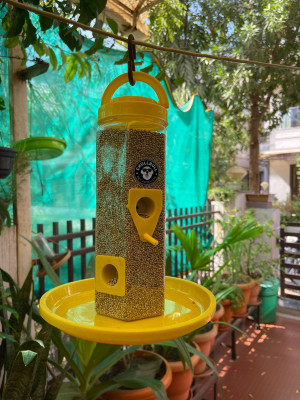 chullbull pet products Food Feeder for birds/ Sparrow feeder Window Bird Feeder Bird Feeder(Red, Blue, Yellow)