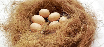 JUGNOO Nesting Material for Birds for Making Nest, Manually Extracted Natural CoirFiber Bird House(Free Standing)