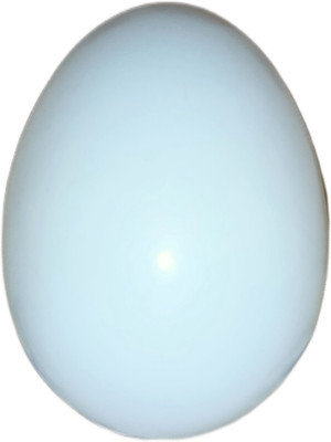 Kailash Fake Pigeon Eggs for Hatch Incubation Breeding White Egg Bird Shoulder Guard(M)