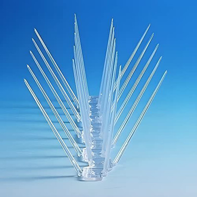 All Dimensions Bird Spike