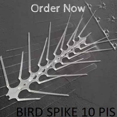 STARHUB Bird Spike