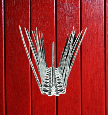 GS Home Bird Spike