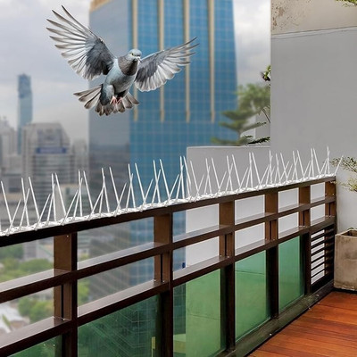 ANAYA ENT Bird Spike