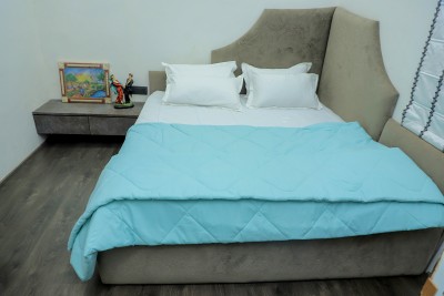 SHRISAGAS Solid Double Comforter for  AC Room(Microfiber, Light Blue)
