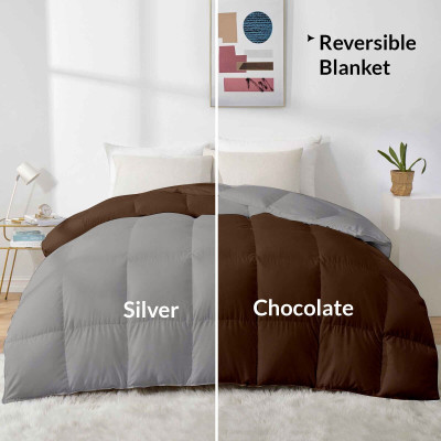 Razzai Solid Single Comforter for  Heavy Winter(Microfiber, Chocolate, Silver)