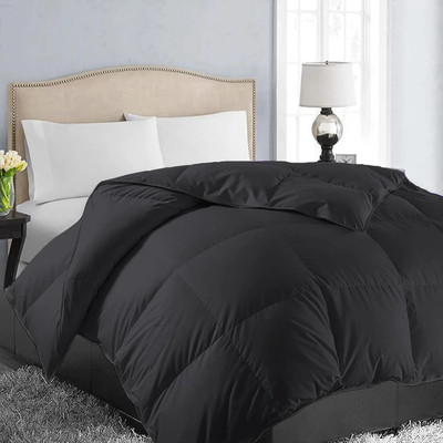 Blue Home Solid Double Comforter for  Mild Winter(Poly Cotton, Black)