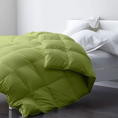Bhumi Impex Solid Single AC Blanket for  AC Room(Microfiber, Sage)
