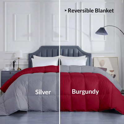 Razzai Solid Double Comforter for  Mild Winter(Microfiber, Burgundy, Silver)