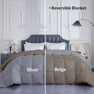 Razzai Solid Single Comforter for  Mild Winter(Microfiber, Beige, Silver)