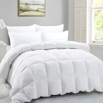Jaipurlinen Solid Double Duvet for  Heavy Winter(Polyester, White)