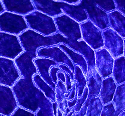 SIMAM Abstract Single Mink Blanket for  Heavy Winter(Microfiber, SB PRINTED -78)
