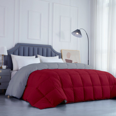 Razzai Solid Double Comforter for  Mild Winter(Microfiber, Burgundy, Silver)