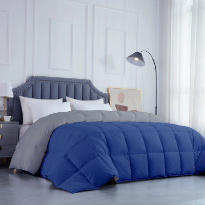 Razzai Solid Double Comforter for  Mild Winter(Microfiber, Sky Blue, Silver)