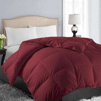 Blue Home Solid Double Comforter for  Mild Winter(Poly Cotton, Maroon)