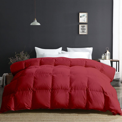 Razzai Geometric Double Comforter for  AC Room(Microfiber, Red)