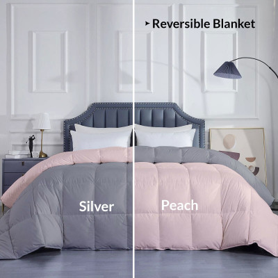 Razzai Solid Single Comforter for  Mild Winter(Microfiber, Peach, Silver)