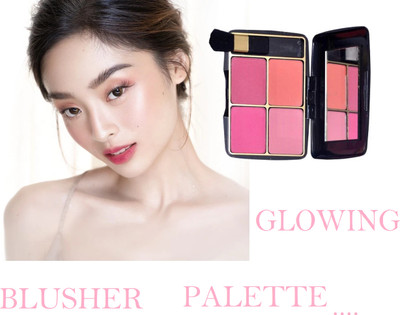 PERLENTE attractive finish blusher 4 in 1 Amazing Blusher Palette(pink)