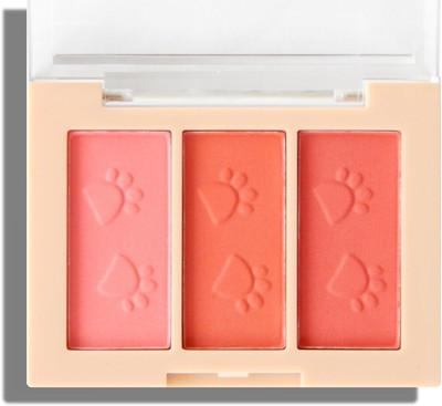 tanvi27 Water Proof and Long Lasting Matte Finish Blusher(MULTI COLOUR)