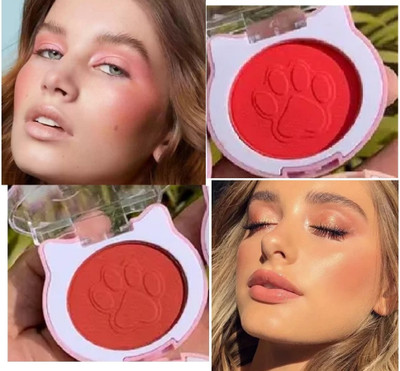 REIMICHI multi color waterproof matte finish blusher(multi color)