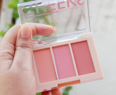 ADJD Matte Finish 3 In 1 Blusher(MULTI COLOR)