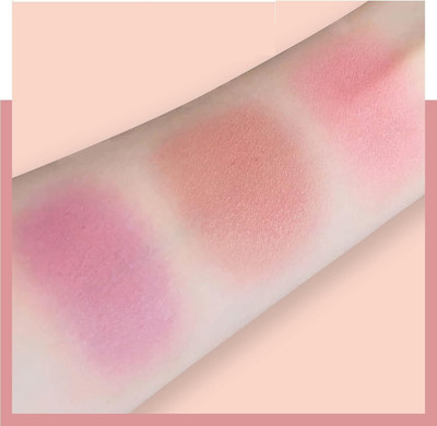 JANOST Blush Patte Multicolor Palette Pack Of 1(Multicolor)