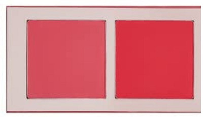 JANOST Matte Blusher Flushed Pink Long Stay(PINK)