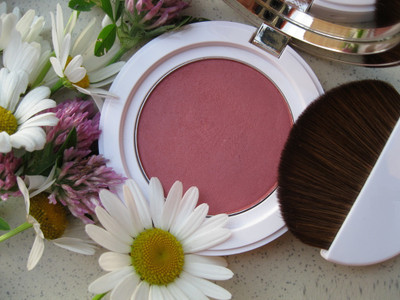 YAWI Cheek Blush palette With Matte Vegan Tint Blush(brick)