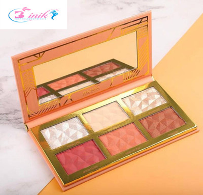 B inik PRO-Fessional Cosmetic 6 COLOR HIGHLIGHT, BLUSHER PALETTE 24.g(MULTICOLOUR)