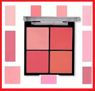 winry PROFESSIONAL 4 IN 1 MAKEUP MINI BLUSHER KIT ALL TIME USE(MULTICOLOR)