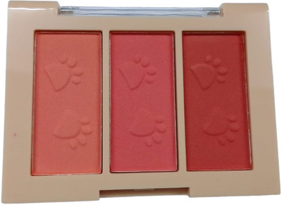 GFSU - GO FOR SOMETHING UNIQUE 02 3 Color Cheeks Blusher(9)