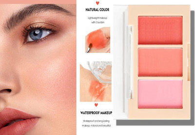 Amaryllis New Shades 4 in 1 Blush Palette with highly blendable shades(Multicolour)