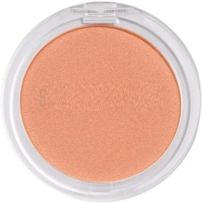 WECHARMERZ Best Face Makeup Smudge Proof Matte Finish Long Lasting Blusher(Shade-02)