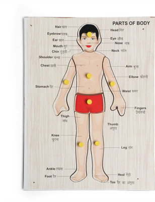 kajal entra prises Wooden Human Body Parts Puzzle Board for Kids –Learning Game Toy Educational Board Games