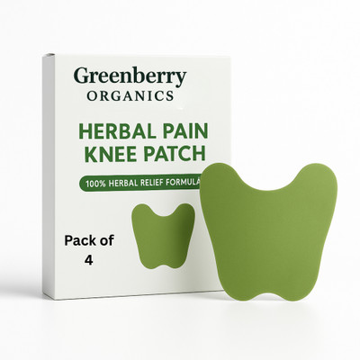 Greenberry Organics Deep Relief Knee Patch for Knee Pain & Swelling Control, Pack of 4 (40 Patches) Plaster & Patch(4 x 50 g)