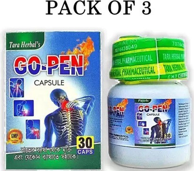 Roy Biotech GO PEN Ayurvedic 30 Capsule For All Kind of Rheumatic Problems Capsules(2 x 30 Units)