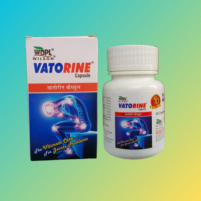 Riya Enterprise VATORINE AYURVEDIC PAIN RELIEF CAPSULE 60 CAPSULE PACK OF 1 Capsules(1 Units)