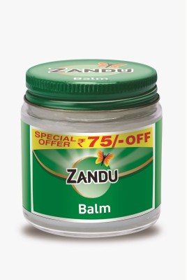 ZANDU Pain Relief | Fast Action & Absorption Balm(100 ml)