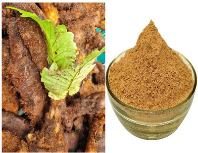 VIVETHAN Oak Leaf Basket Fern Root soup Powder 50gm Powder(50 g)