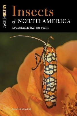 Insects of North America(English, Electronic book text, Phillips David M)