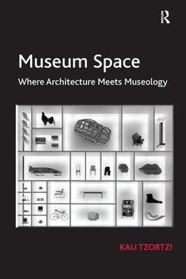 Museum Space(English, Paperback, Tzortzi Kali)